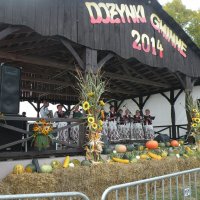 Zobacz w powiększeniu: Dożynki Gminne 2014 (5)