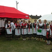 Zobacz w powiększeniu: Dożynki Gminne 2014 (7)