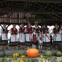 Zobacz w powiększeniu: Dożynki Gminne 2014 (8)