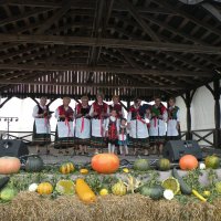 Zobacz w powiększeniu: Dożynki Gminne 2014 (9)
