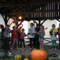 Zobacz w powiększeniu: Dożynki Gminne 2014 (16)
