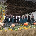 Obejrzyj galerię zdjęć: Dożynki Gminne 2014