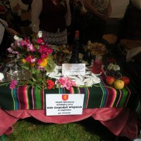 Zobacz w powiększeniu: Dożynki Powiatowe 2014 (3)
