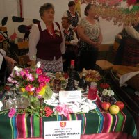 Zobacz w powiększeniu: Dożynki Powiatowe 2014 (4)