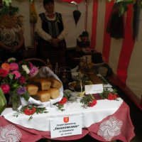 Zobacz w powiększeniu: Dożynki Powiatowe 2014 (5)