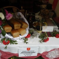 Zobacz w powiększeniu: Dożynki Powiatowe 2014 (6)