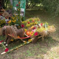 Zobacz w powiększeniu: Dożynki Powiatowe 2014 (9)