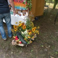 Zobacz w powiększeniu: Dożynki Powiatowe 2014 (10)