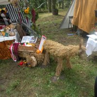 Zobacz w powiększeniu: Dożynki Powiatowe 2014 (11)
