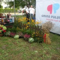 Zobacz w powiększeniu: Dożynki Powiatowe 2014 (12)
