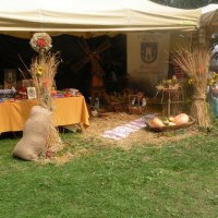 Zobacz w powiększeniu: Dożynki Powiatowe 2014 (13)