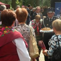Zobacz w powiększeniu: Dożynki Powiatowe 2014 (17)