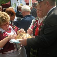 Zobacz w powiększeniu: Dożynki Powiatowe 2014 (18)