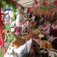 Zobacz w powiększeniu: Dożynki Powiatowe 2014 (19)
