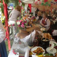 Zobacz w powiększeniu: Dożynki Powiatowe 2014 (23)
