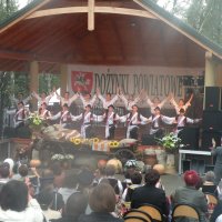 Zobacz w powiększeniu: Dożynki Powiatowe 2014 (27)