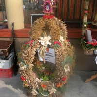Zobacz w powiększeniu: Dożynki Powiatowe 2014 (28)