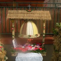 Zobacz w powiększeniu: Dożynki Powiatowe 2014 (29)