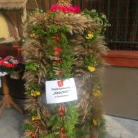 Zobacz w powiększeniu: Dożynki Powiatowe 2014 (30)