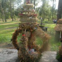 Zobacz w powiększeniu: Dożynki Powiatowe 2014 (31)