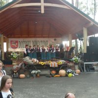 Zobacz w powiększeniu: Dożynki Powiatowe 2014 (43)