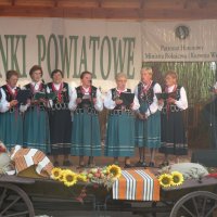 Zobacz w powiększeniu: Dożynki Powiatowe 2014 (44)