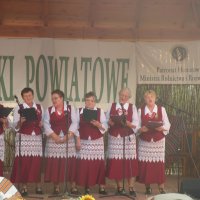 Zobacz w powiększeniu: Dożynki Powiatowe 2014 (46)