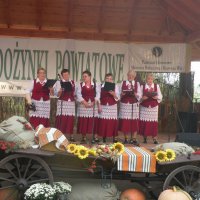 Zobacz w powiększeniu: Dożynki Powiatowe 2014 (47)