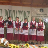 Zobacz w powiększeniu: Dożynki Powiatowe 2014 (48)