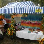 Obejrzyj galerię zdjęć: Dożynki Powiatowe 2014