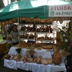 Obejrzyj galerię zdjęć: Dożynki Powiatowe 2014