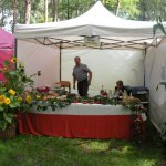 Obejrzyj galerię zdjęć: Dożynki Powiatowe 2014