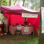 Obejrzyj galerię zdjęć: Dożynki Powiatowe 2014