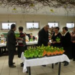Obejrzyj galerię zdjęć: Dzień Kobiet 2014