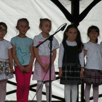 Zobacz w powiększeniu: Festyn rodzinny 2014 (19)