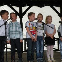 Zobacz w powiększeniu: Festyn rodzinny 2014 (44)