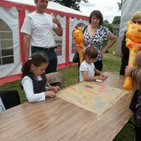 Zobacz w powiększeniu: Festyn rodzinny 2014 (48)