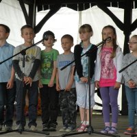 Zobacz w powiększeniu: Festyn rodzinny 2014 (53)