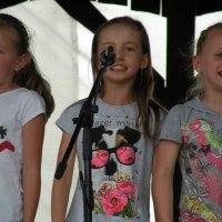 Zobacz w powiększeniu: Festyn rodzinny 2014 (60)