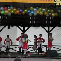 Zobacz w powiększeniu: Międzynarodowy Festiwal Tańców GODEL 2014 (6)