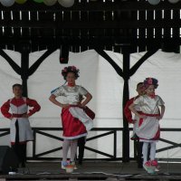 Zobacz w powiększeniu: Międzynarodowy Festiwal Tańców GODEL 2014 (8)