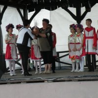 Zobacz w powiększeniu: Międzynarodowy Festiwal Tańców GODEL 2014 (10)