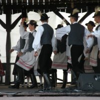 Zobacz w powiększeniu: Międzynarodowy Festiwal Tańców GODEL 2014 (14)