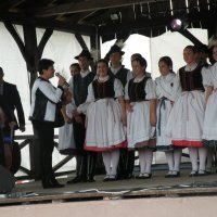 Zobacz w powiększeniu: Międzynarodowy Festiwal Tańców GODEL 2014 (34)