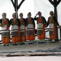 Zobacz w powiększeniu: Międzynarodowy Festiwal Tańców GODEL 2014 (36)