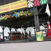 Zobacz w powiększeniu: Międzynarodowy Festiwal Tańców GODEL 2014 (38)