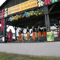 Zobacz w powiększeniu: Międzynarodowy Festiwal Tańców GODEL 2014 (40)