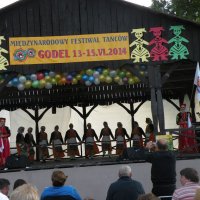 Zobacz w powiększeniu: Międzynarodowy Festiwal Tańców GODEL 2014 (41)