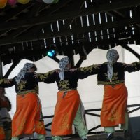 Zobacz w powiększeniu: Międzynarodowy Festiwal Tańców GODEL 2014 (42)