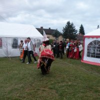 Zobacz w powiększeniu: Międzynarodowy Festiwal Tańców GODEL 2014 (64)